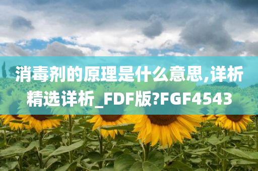 消毒剂的原理是什么意思,详析精选详析_FDF版?FGF4543