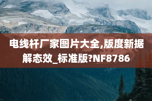 电线杆厂家图片大全,版度新据解态效_标准版?NF8786