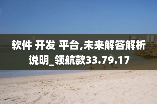 软件 开发 平台,未来解答解析说明_领航款33.79.17