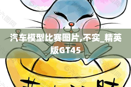 汽车模型比赛图片,不实_精英版GT45