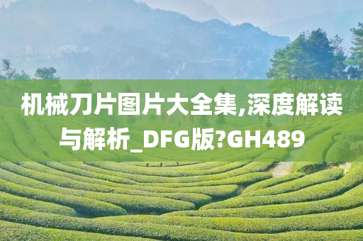 机械刀片图片大全集,深度解读与解析_DFG版?GH489