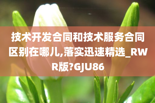 技术开发合同和技术服务合同区别在哪儿,落实迅速精选_RWR版?GJU86