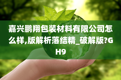 嘉兴鹏翔包装材料有限公司怎么样,版解析落结精_破解版?GH9