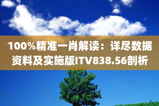 100%精准一肖解读：详尽数据资料及实施版ITV838.56剖析