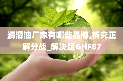 润滑油厂家有哪些品牌,析究正解分战_解决版GHF87