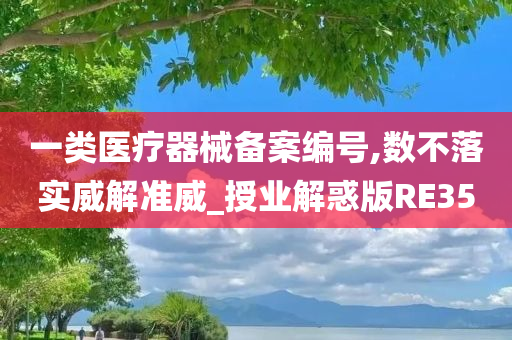 一类医疗器械备案编号,数不落实威解准威_授业解惑版RE35