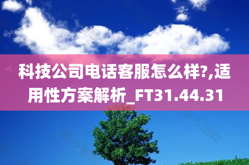 科技公司电话客服怎么样?,适用性方案解析_FT31.44.31