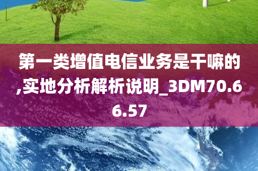 第一类增值电信业务是干嘛的,实地分析解析说明_3DM70.66.57