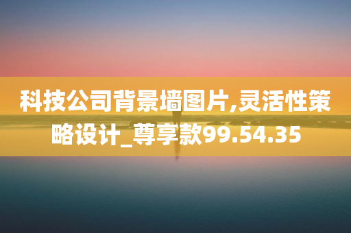 科技公司背景墙图片,灵活性策略设计_尊享款99.54.35