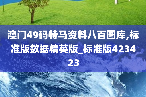 澳门49码特马资料八百图库,标准版数据精英版_标准版423423