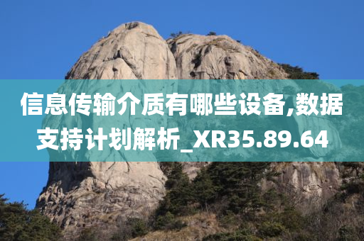 信息传输介质有哪些设备,数据支持计划解析_XR35.89.64