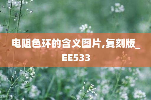 电阻色环的含义图片,复刻版_EE533