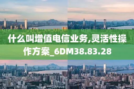 什么叫增值电信业务,灵活性操作方案_6DM38.83.28