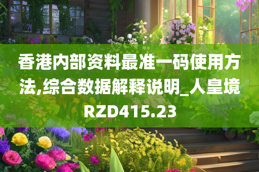 香港内部资料最准一码使用方法,综合数据解释说明_人皇境RZD415.23