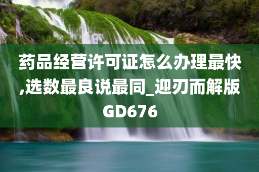 药品经营许可证怎么办理最快,选数最良说最同_迎刃而解版GD676