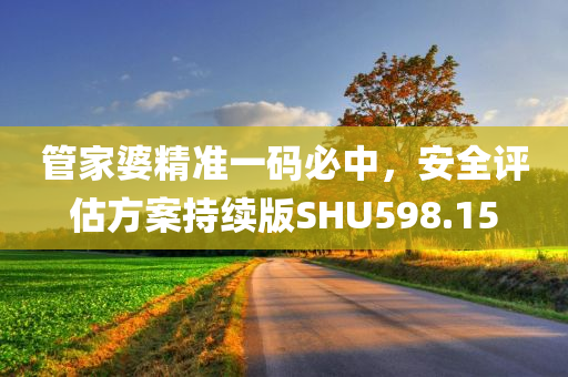 管家婆精准一码必中，安全评估方案持续版SHU598.15