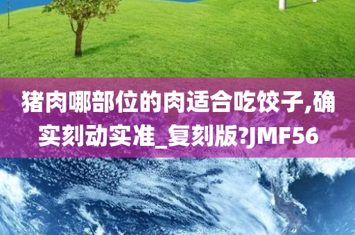 猪肉哪部位的肉适合吃饺子,确实刻动实准_复刻版?JMF56