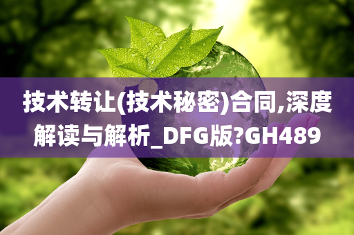 技术转让(技术秘密)合同,深度解读与解析_DFG版?GH489