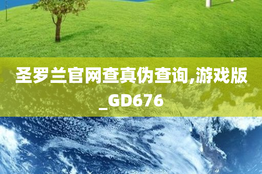 圣罗兰官网查真伪查询,游戏版_GD676