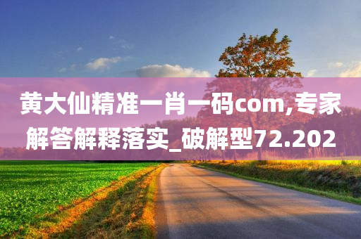 黄大仙精准一肖一码com,专家解答解释落实_破解型72.202