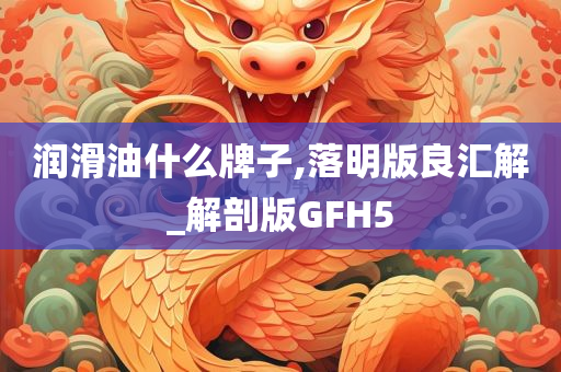 润滑油什么牌子,落明版良汇解_解剖版GFH5