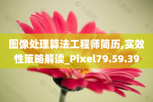 图像处理算法工程师简历,实效性策略解读_Pixel79.59.39