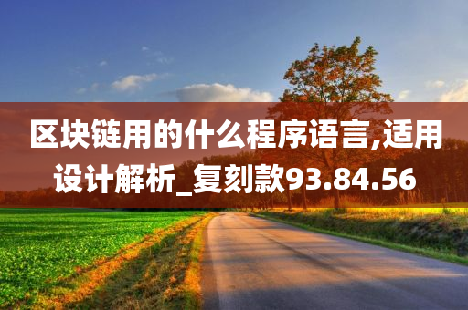 区块链用的什么程序语言,适用设计解析_复刻款93.84.56