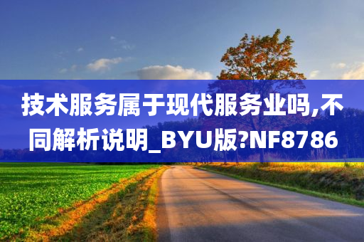 技术服务属于现代服务业吗,不同解析说明_BYU版?NF8786