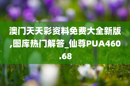 澳门天天彩资料免费大全新版,图库热门解答_仙尊PUA460.68