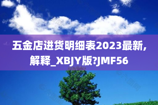 五金店进货明细表2023最新,解释_XBJY版?JMF56