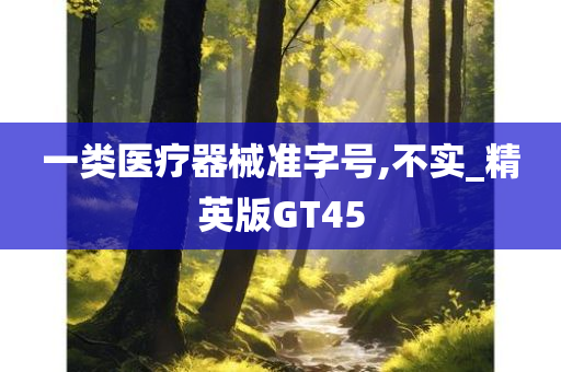 一类医疗器械准字号,不实_精英版GT45