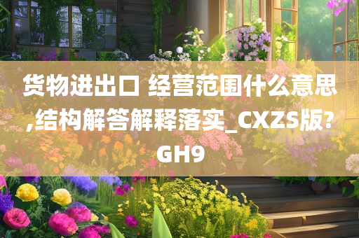 货物进出口 经营范围什么意思,结构解答解释落实_CXZS版?GH9