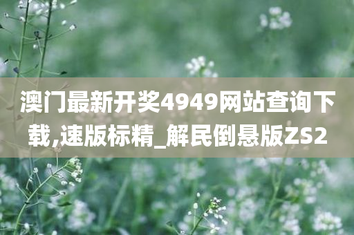 澳门最新开奖4949网站查询下载,速版标精_解民倒悬版ZS2