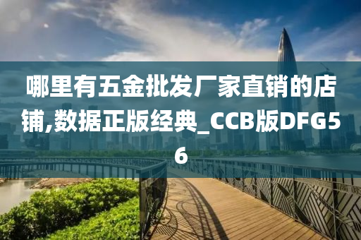 哪里有五金批发厂家直销的店铺,数据正版经典_CCB版DFG56