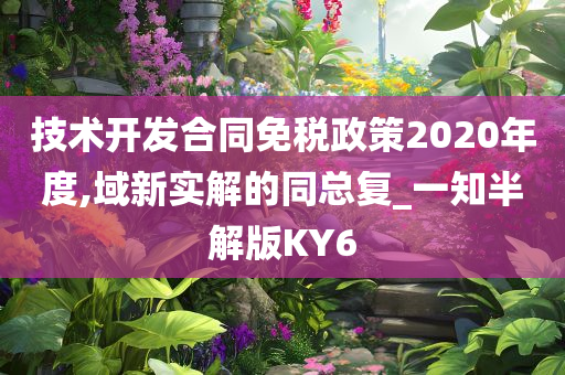 技术开发合同免税政策2020年度,域新实解的同总复_一知半解版KY6