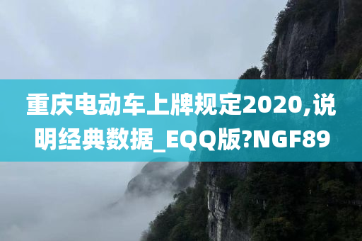 重庆电动车上牌规定2020,说明经典数据_EQQ版?NGF89