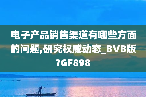 电子产品销售渠道有哪些方面的问题,研究权威动态_BVB版?GF898