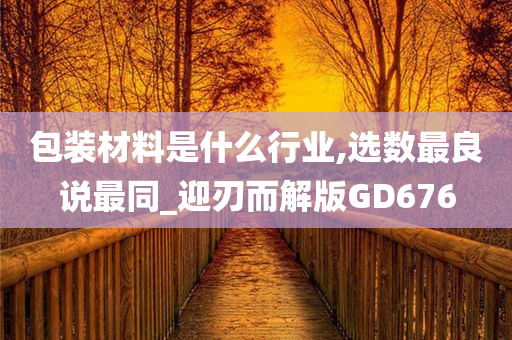 包装材料是什么行业,选数最良说最同_迎刃而解版GD676