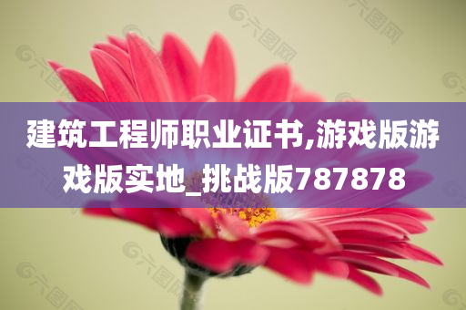 建筑工程师职业证书,游戏版游戏版实地_挑战版787878