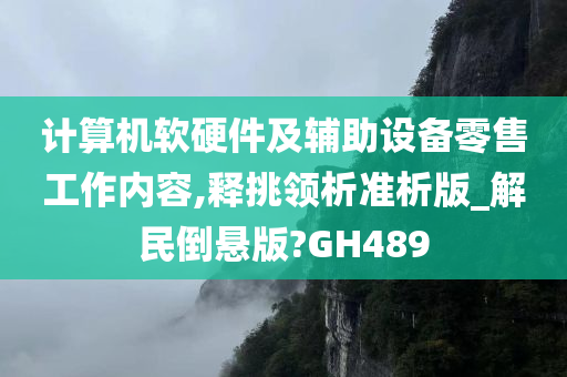 计算机软硬件及辅助设备零售工作内容,释挑领析准析版_解民倒悬版?GH489