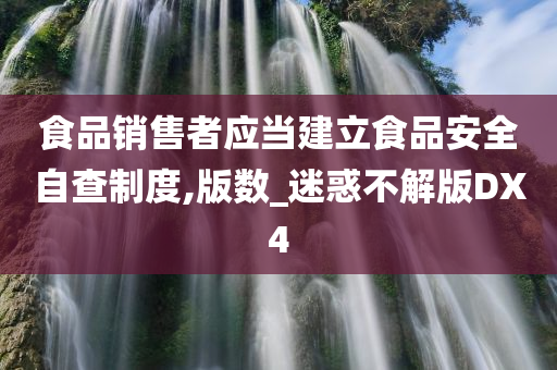 食品销售者应当建立食品安全自查制度,版数_迷惑不解版DX4