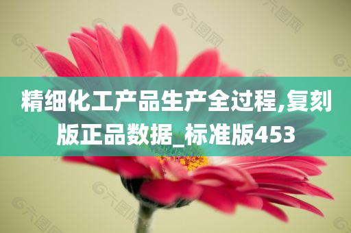 精细化工产品生产全过程,复刻版正品数据_标准版453