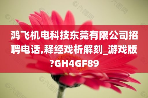 鸿飞机电科技东莞有限公司招聘电话,释经戏析解刻_游戏版?GH4GF89