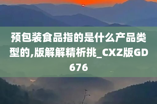 预包装食品指的是什么产品类型的,版解解精析挑_CXZ版GD676