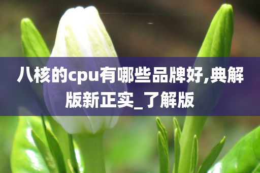 八核的cpu有哪些品牌好,典解版新正实_了解版