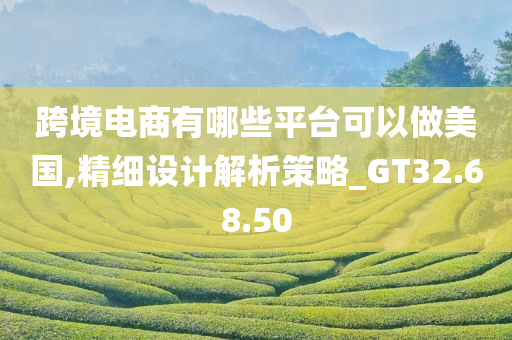 跨境电商有哪些平台可以做美国,精细设计解析策略_GT32.68.50