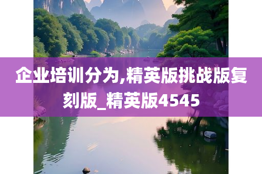 企业培训分为,精英版挑战版复刻版_精英版4545