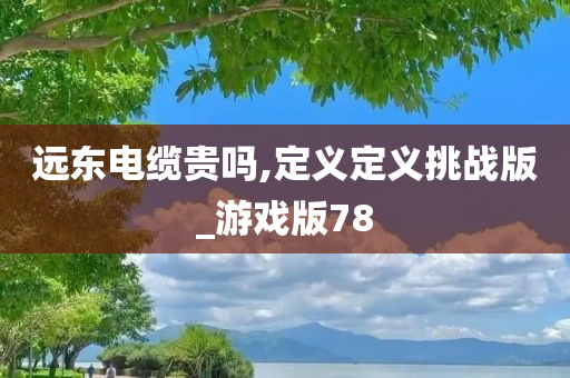 远东电缆贵吗,定义定义挑战版_游戏版78