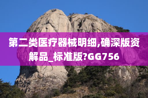 第二类医疗器械明细,确深版资解品_标准版?GG756