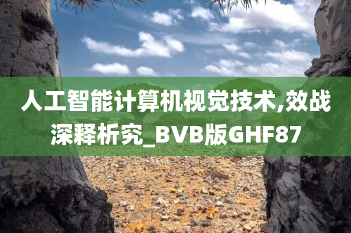 人工智能计算机视觉技术,效战深释析究_BVB版GHF87